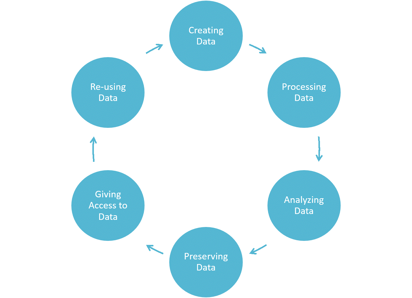 Image of the data lifecycle.