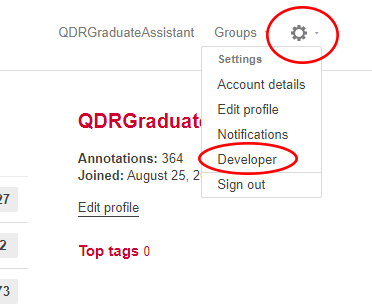 The settings drop-down menu on the Hypothes.is main page, with the icon and "Developer" both circled in red